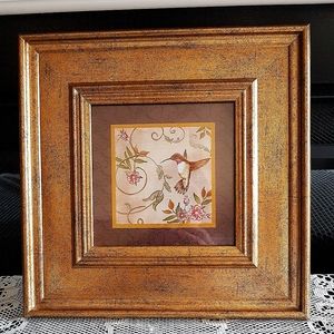 Gorgeous Hummingbird picture